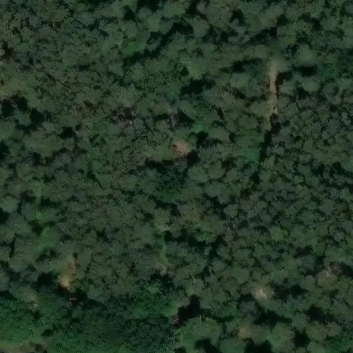 Verlaten Vakantie Accomodatie