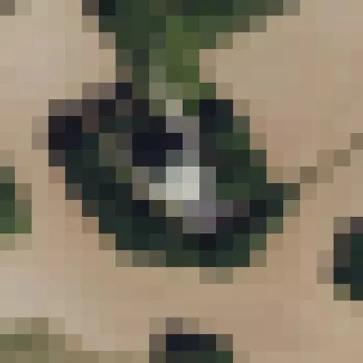 Verlaten Radar Station